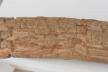 Altar Tusk