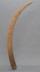 Altar Tusk