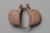 Anklet