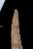 Altar Tusk