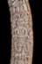Altar Tusk