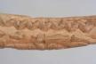 Altar Tusk