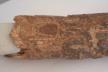 Altar Tusk