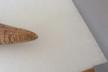 Altar Tusk