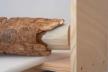Altar Tusk