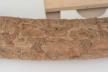 Altar Tusk