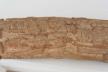 Altar Tusk