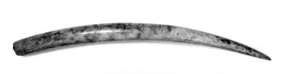 Altar Tusk