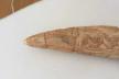 Altar Tusk