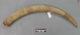 Altar Tusk