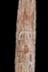 Altar Tusk