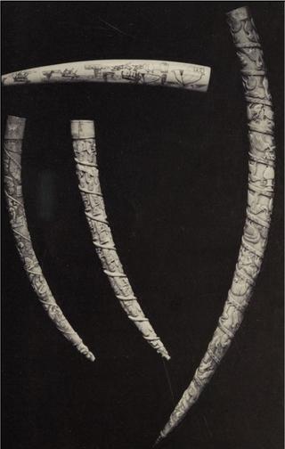 An archival document representing a Auction Catalog of 36 page(s)