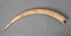 Altar Tusk