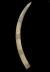 Altar Tusk