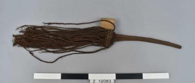 Flywhisk