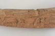 Altar Tusk