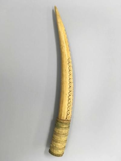 Horn or Flute