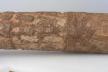 Altar Tusk