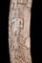 Altar Tusk