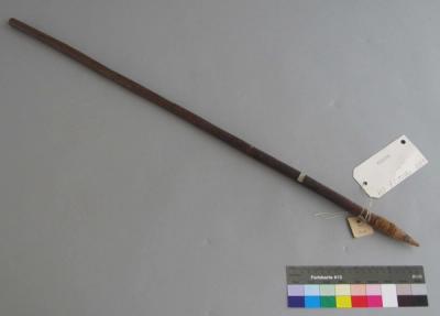 Spear