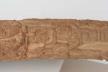 Altar Tusk