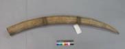 Altar Tusk