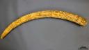 Altar Tusk