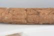 Altar Tusk
