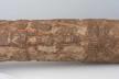 Altar Tusk