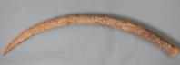 Altar Tusk