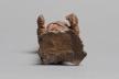 Fragment