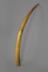 Altar Tusk