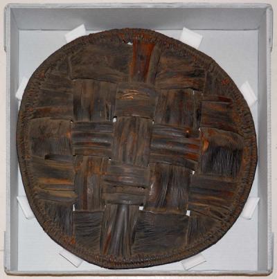 Shield