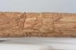 Altar Tusk