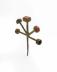 Hair Ornament