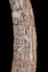 Altar Tusk