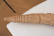 Altar Tusk