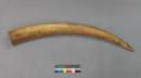 Altar Tusk