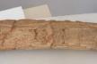 Altar Tusk