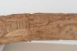 Altar Tusk