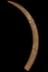 Altar Tusk