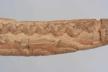 Altar Tusk