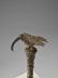 Bird of Prophecy Staff