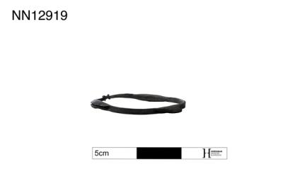 Anklet