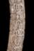 Altar Tusk