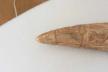 Altar Tusk