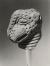 Leopard Figure